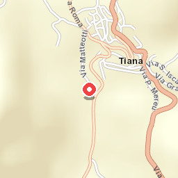 B&B Meddie