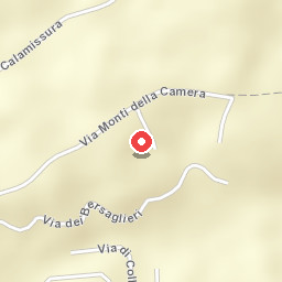 Le Azalee
