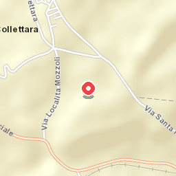 L'Acero Campestre