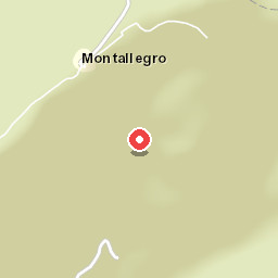 Hotel Montallegro