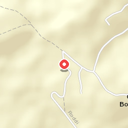 Il Vigneto