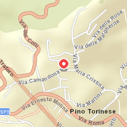 Hotel Pino Torinese