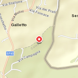 Sottovoce