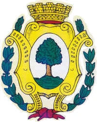 Stemma di Bosco Marengo