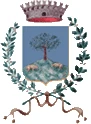 Foza