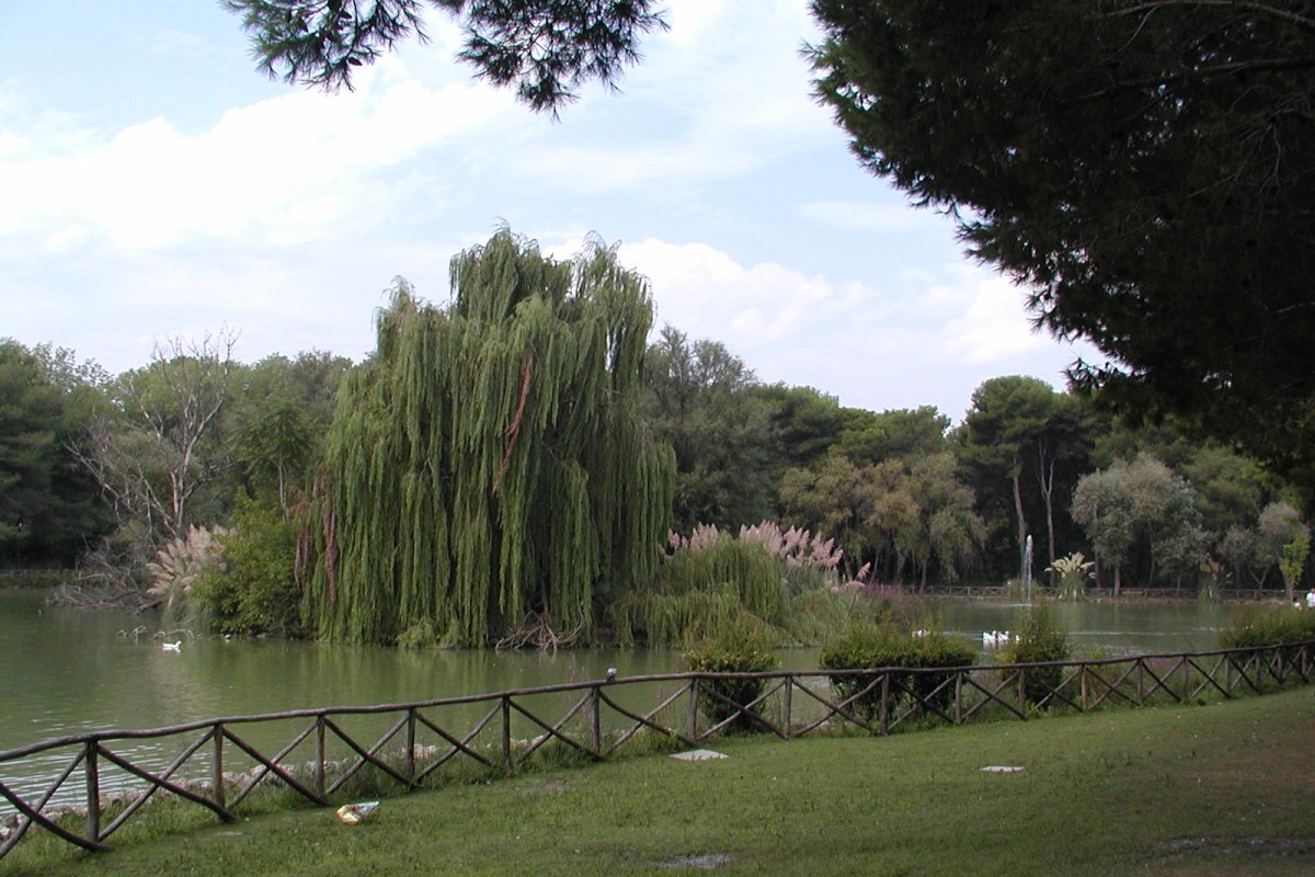 B&B Di Risio