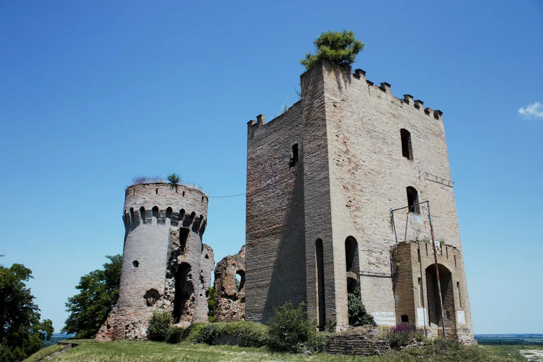 Comune di Riserva Naturale Statale Litorale Romano - Roma